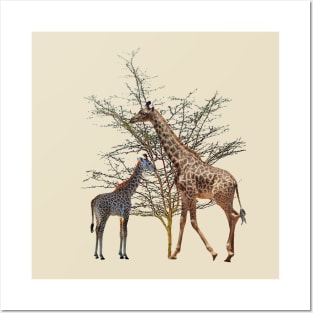 Giraffe - Wildlife - Africa Posters and Art